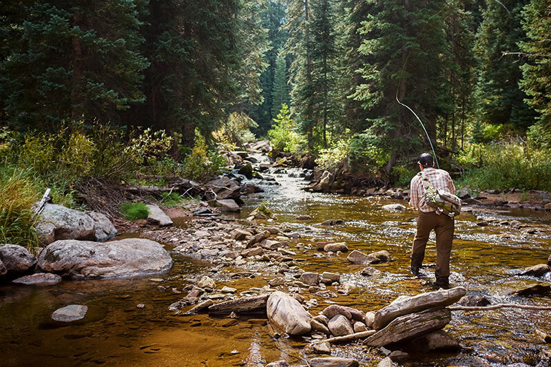 Fishing in the Roaring Fork Valley - Elk Creek Campground